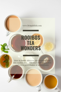 Rooibos tea wonders